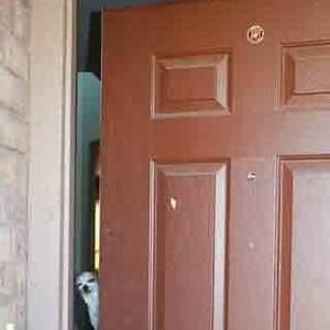 Meet your Posher, Tamara